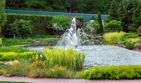 Professionnel pour la création de bassin chez un particulier à Sainte-Marie-en-Chanois 