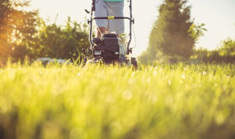 Entreprise pour la tonde de pelouse et tailles de haies pour particulier Sainte-Marie-en-Chanois